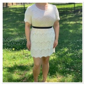 Cream Lace Dress